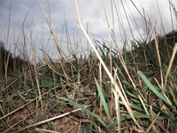 rra delle Concazze-201100508 027